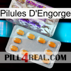 Engorge Pills new12